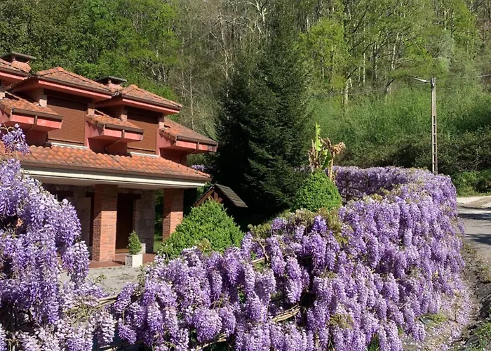 Apartment Rurales Flordelinto *